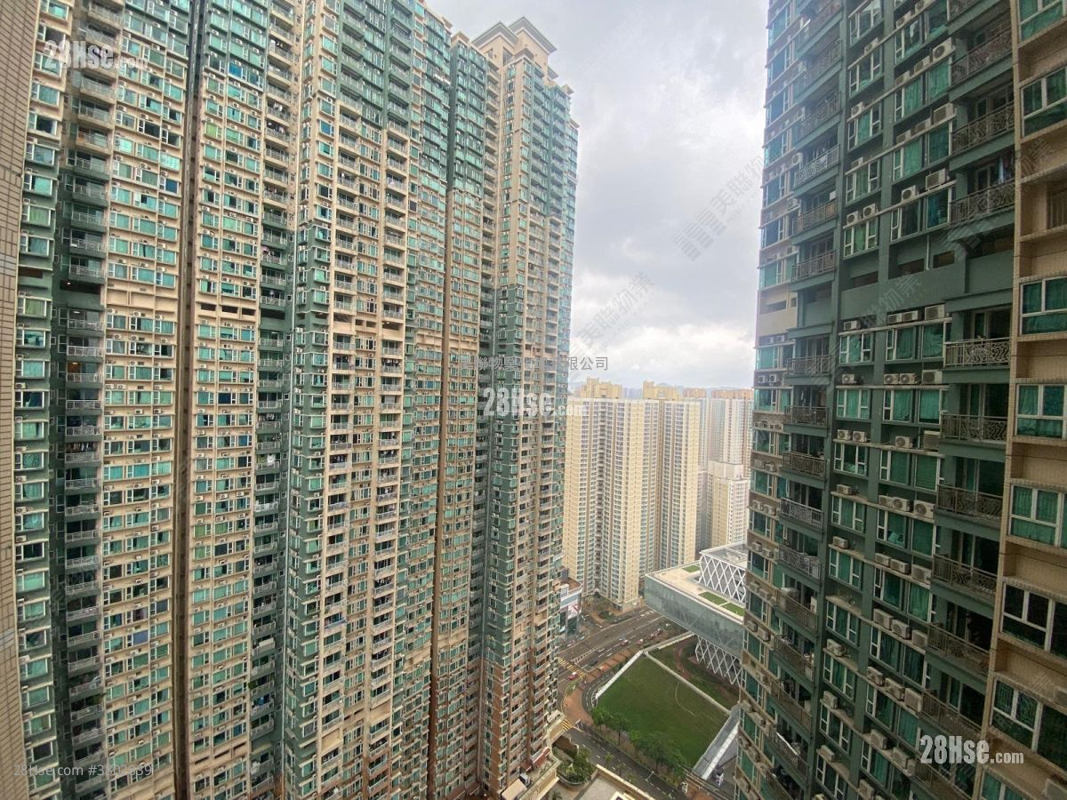 都会駅 租盘 2 房 , 1 浴室 487 平方尺