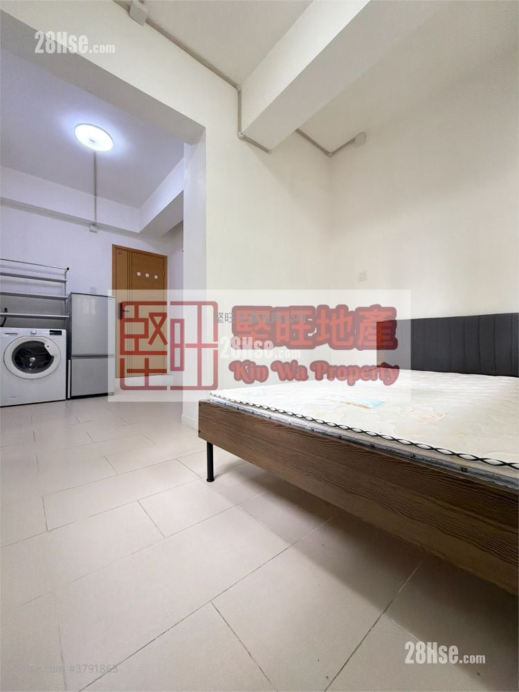 单幢楼房 租盘 开放式间隔 , 1 浴室 150 平方尺