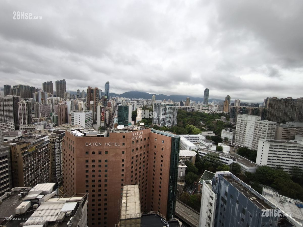 Topside Residence Rental 1 Bedroom 272 ft²