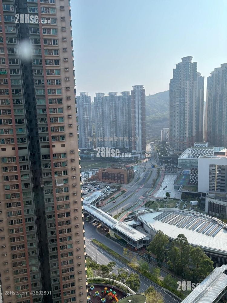 将军澳中心 租盘 384 平方尺