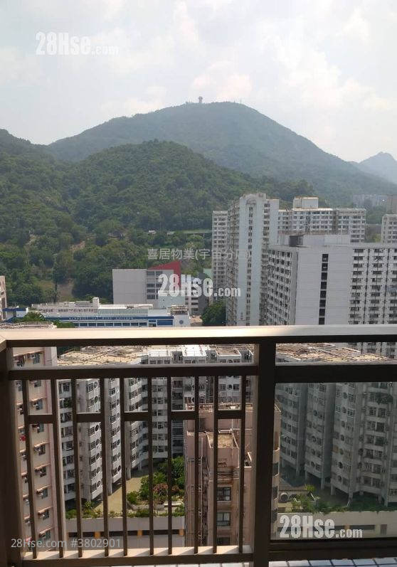 One Madison Rental 1 Bedroom , 1 Bathroom 249 ft²