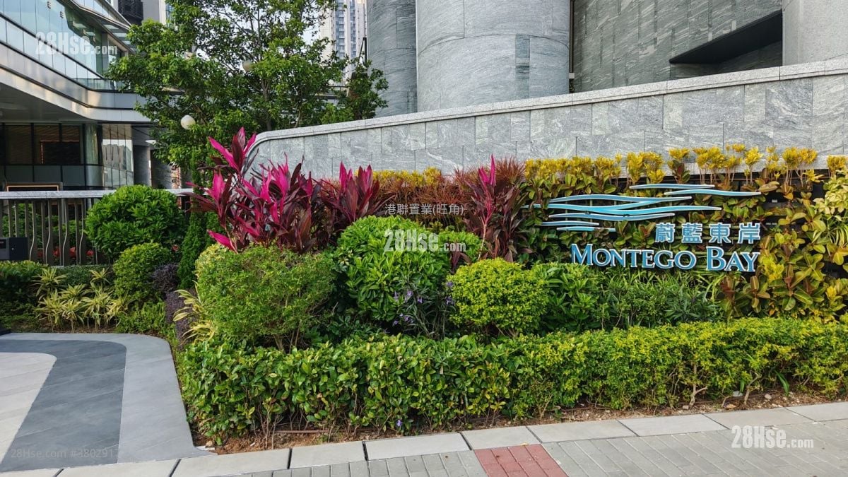 Montego Bay Rental Studio , 1 Bathroom 271 ft²