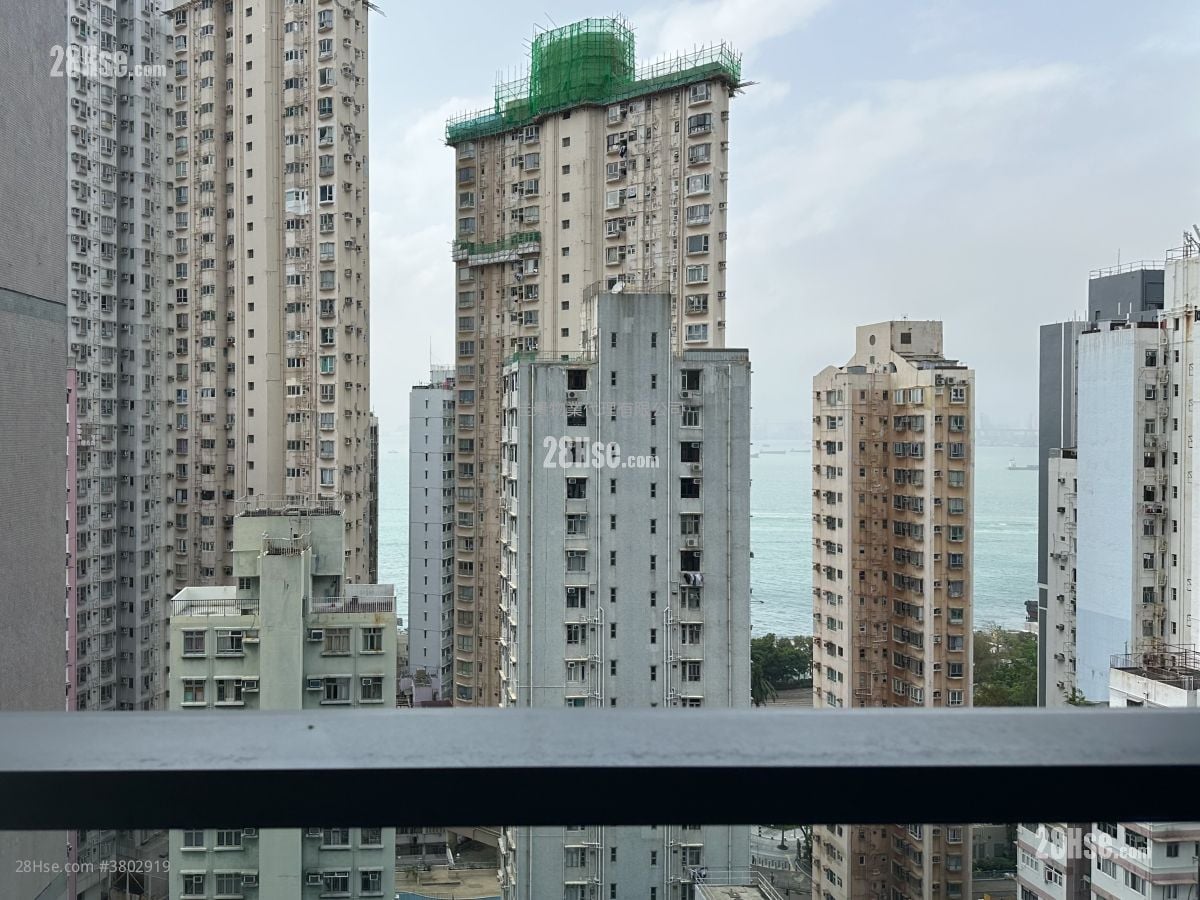 Kennedy 38 租盘 1 房 , 1 浴室 292 平方尺