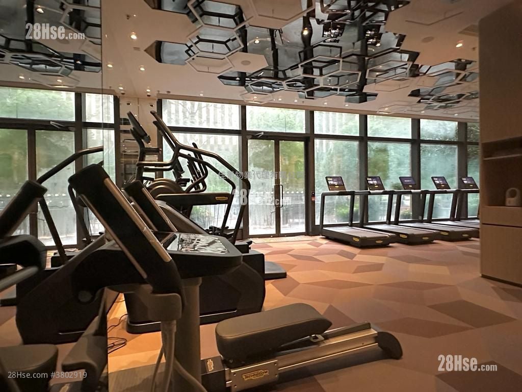 Kennedy 38 租盘 1 房 , 1 浴室 292 平方尺