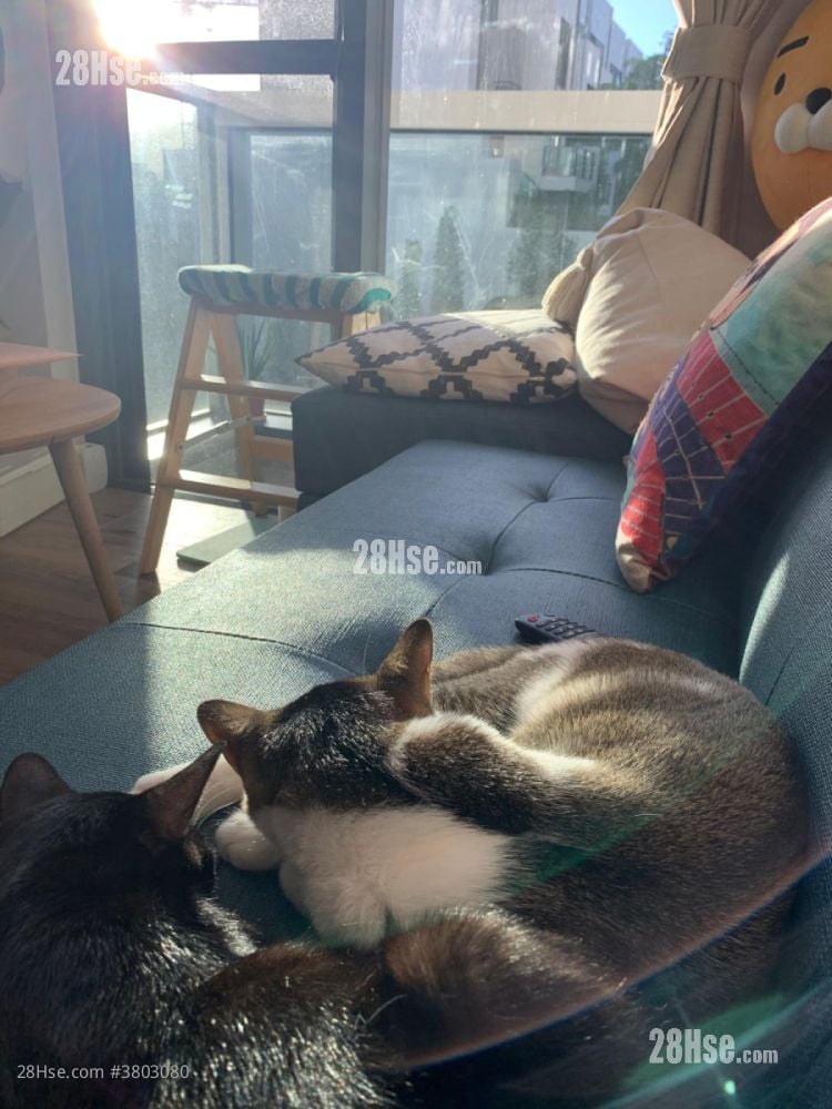 The Carmel Sell 1 Bedroom , 1 Bathroom 368 ft²