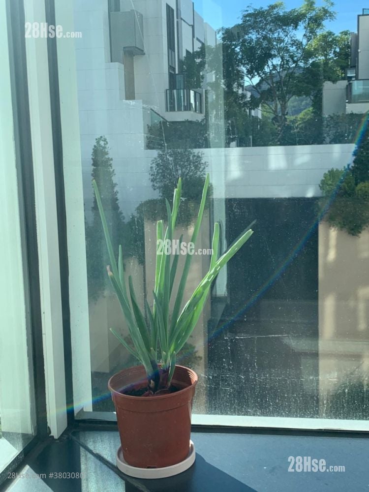 The Carmel Sell 1 Bedroom , 1 Bathroom 368 ft²