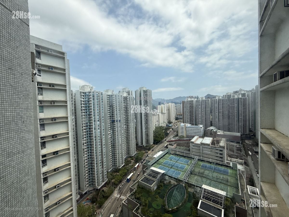 South Horizons Rental 3 Bedrooms , 2 Bathrooms 630 ft²