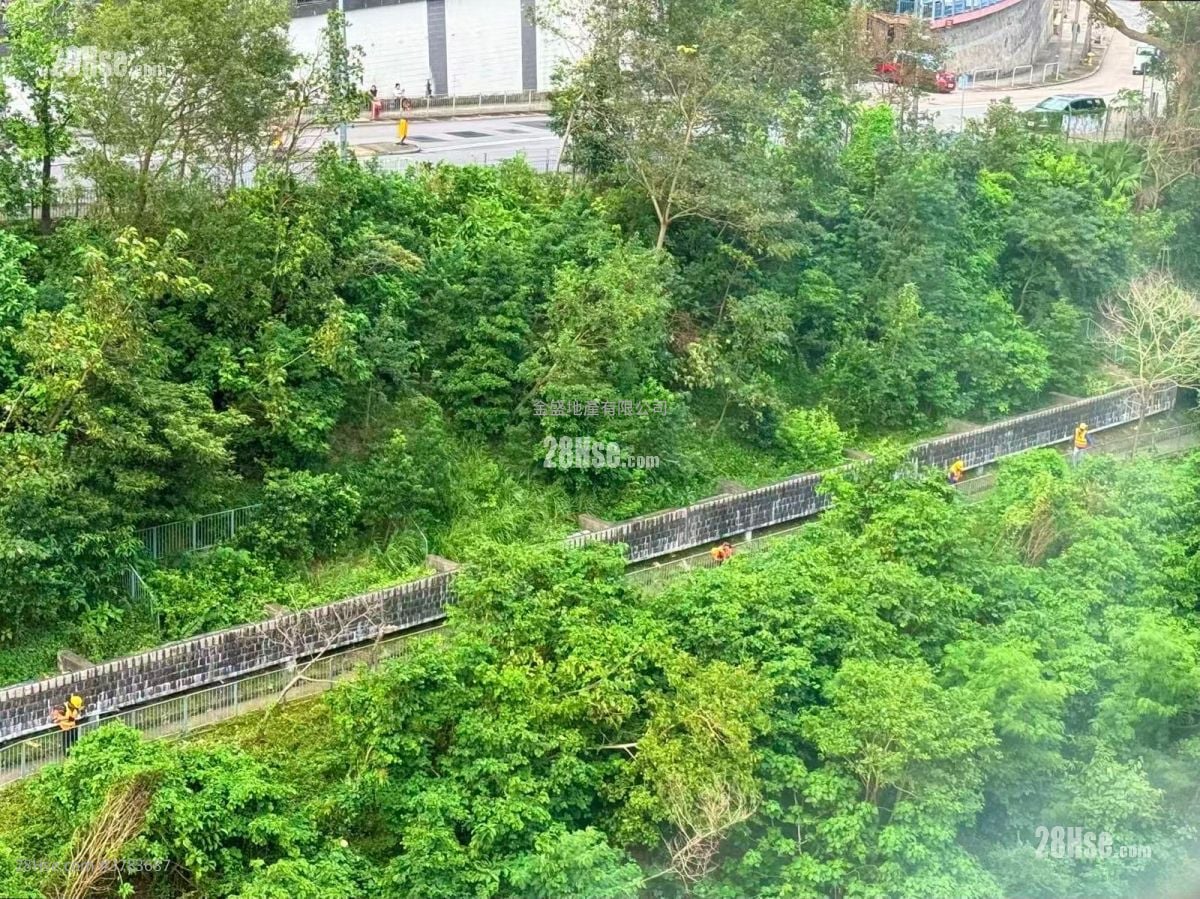 富景阁 售盘 3 房 , 1 浴室 510 平方尺