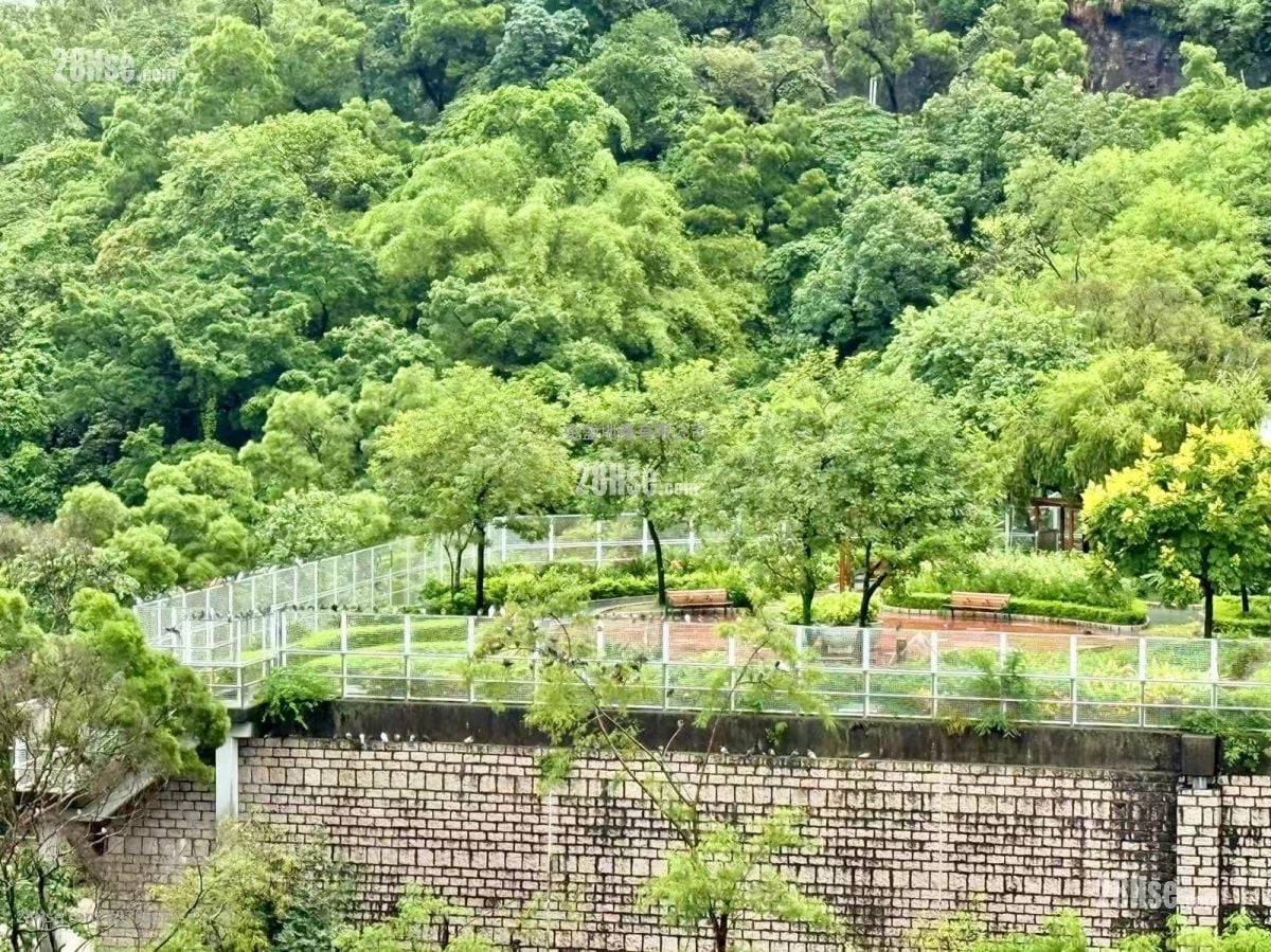 富景阁 售盘 3 房 , 1 浴室 510 平方尺