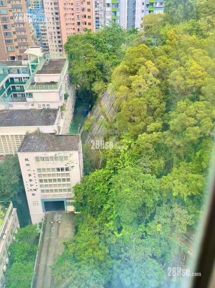 富景阁 售盘 3 房 , 1 浴室 510 平方尺