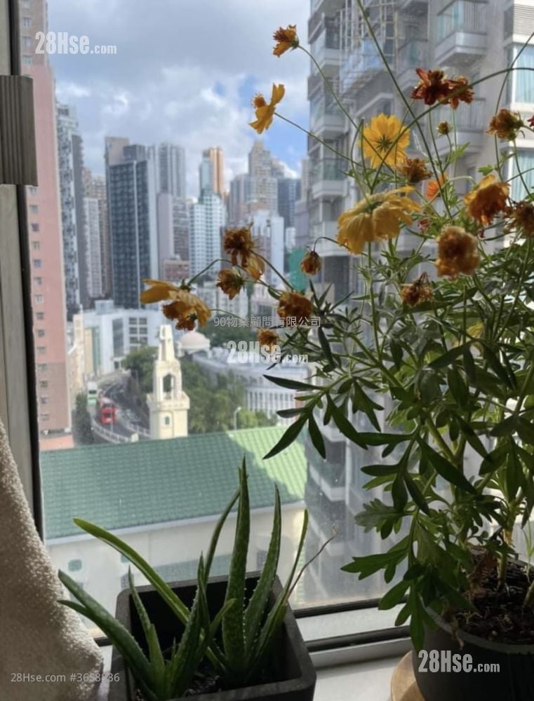 Ka Fai Court Sell 323 ft²