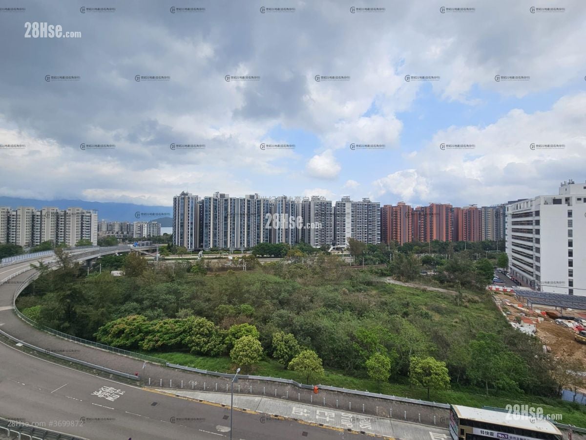 Silicon Hill Rental 2 Bedrooms , 1 Bathroom 405 ft²