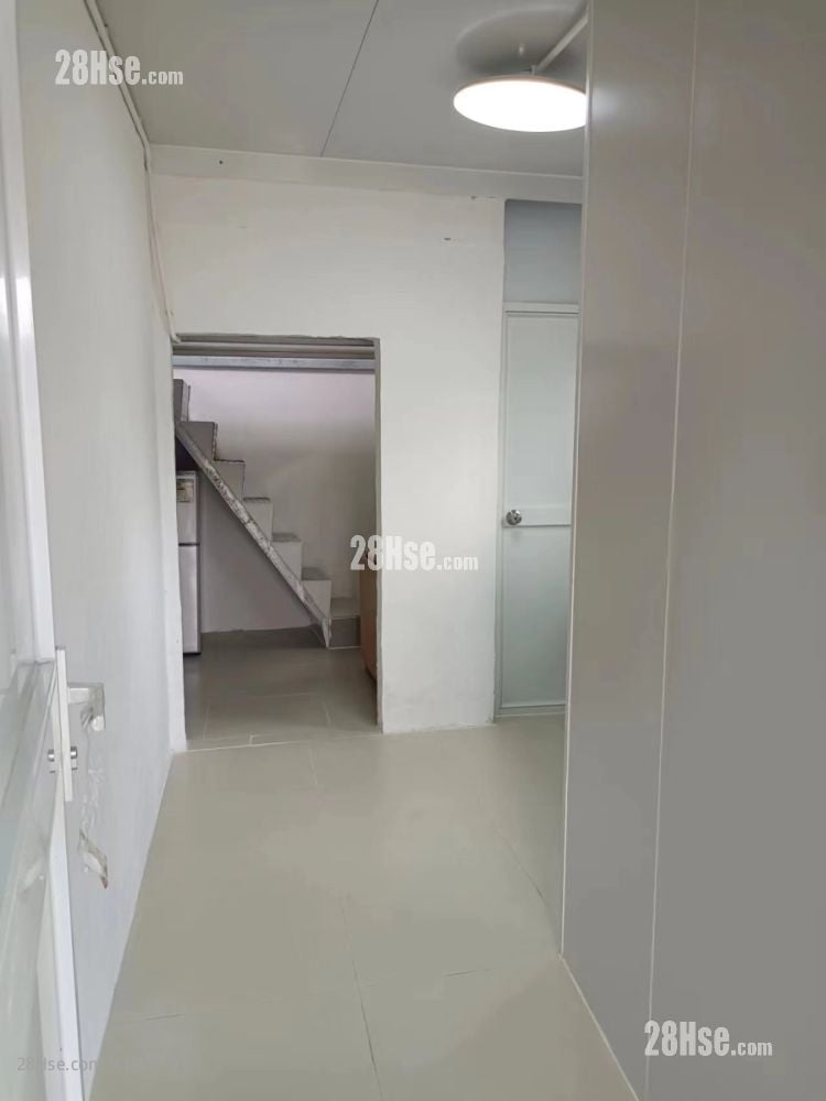 打鼓岭 租盘 238 平方尺