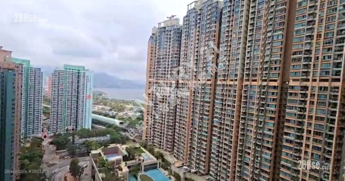 Jimmy豆生 63460809