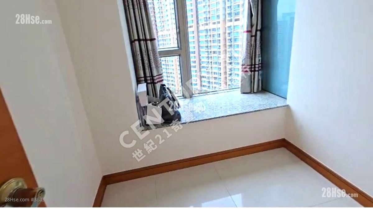 Jimmy豆生 63460809