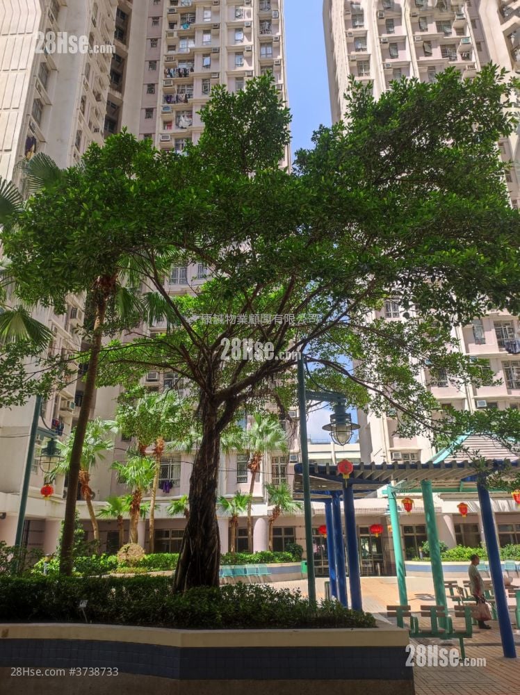 康逸苑 售盘 2 房 , 1 浴室 506 平方尺