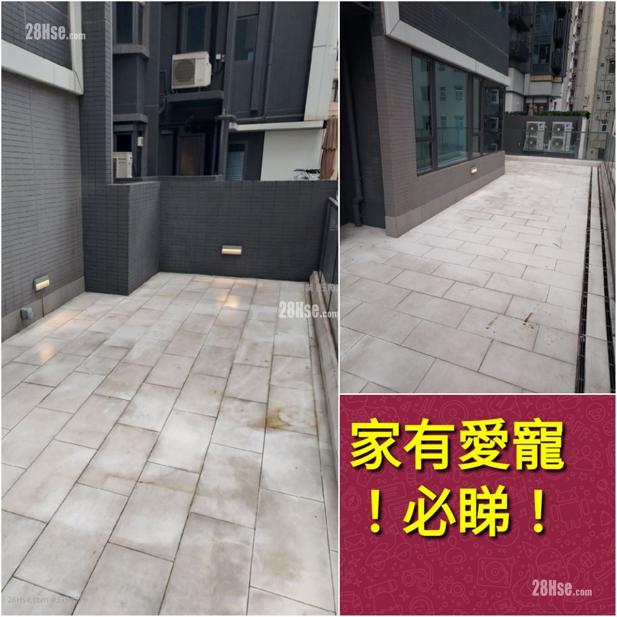 芳菲 租盘 2 房 , 1 浴室 377 平方尺