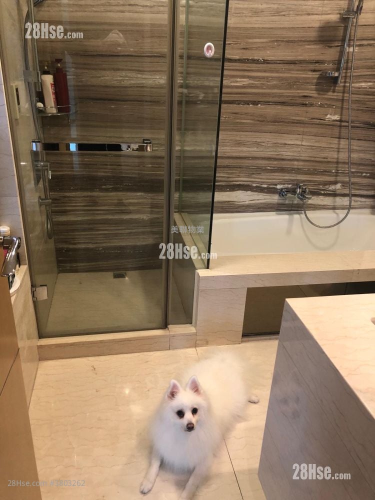 溱岸8号 售盘 4 房 1,262 平方尺