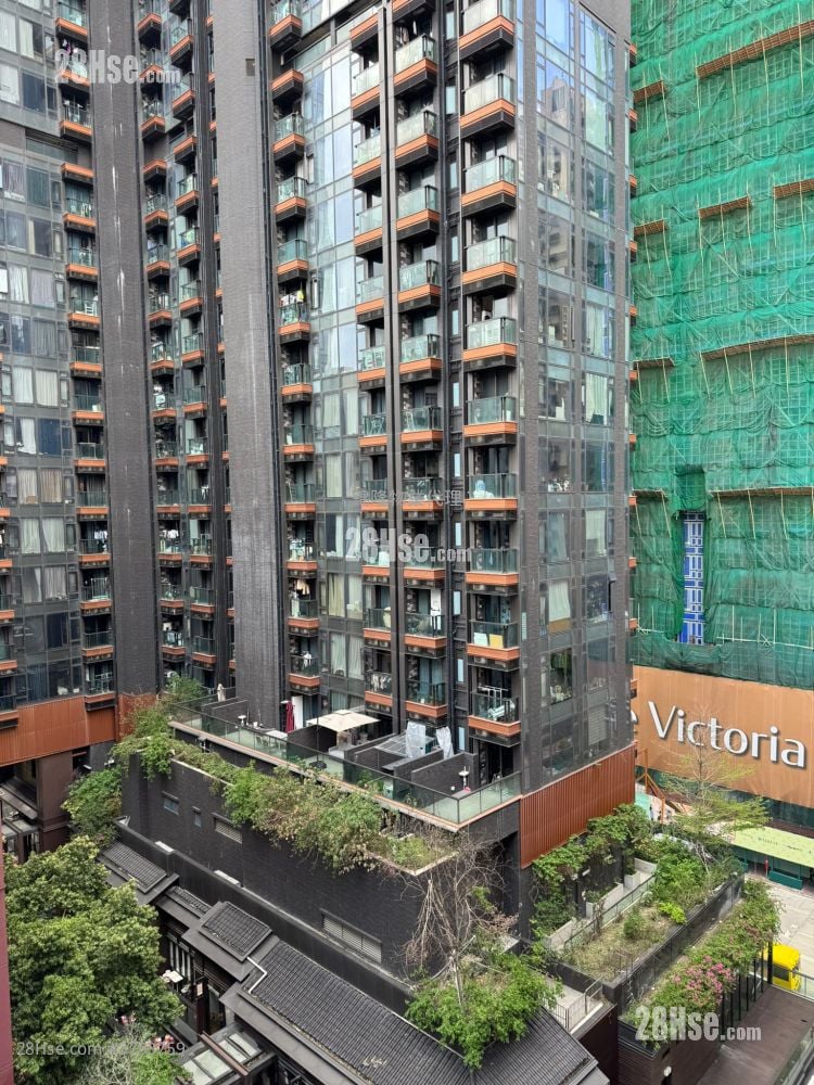 崇义楼 租盘 2 房 , 1 浴室 347 平方尺