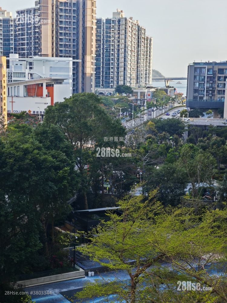 The Wings Rental 5+ Bedrooms , 3 Bathrooms 799 ft²