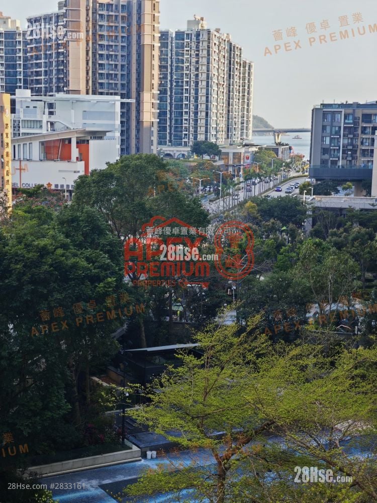 天晋 租盘 4 房 , 3 浴室 799 平方尺