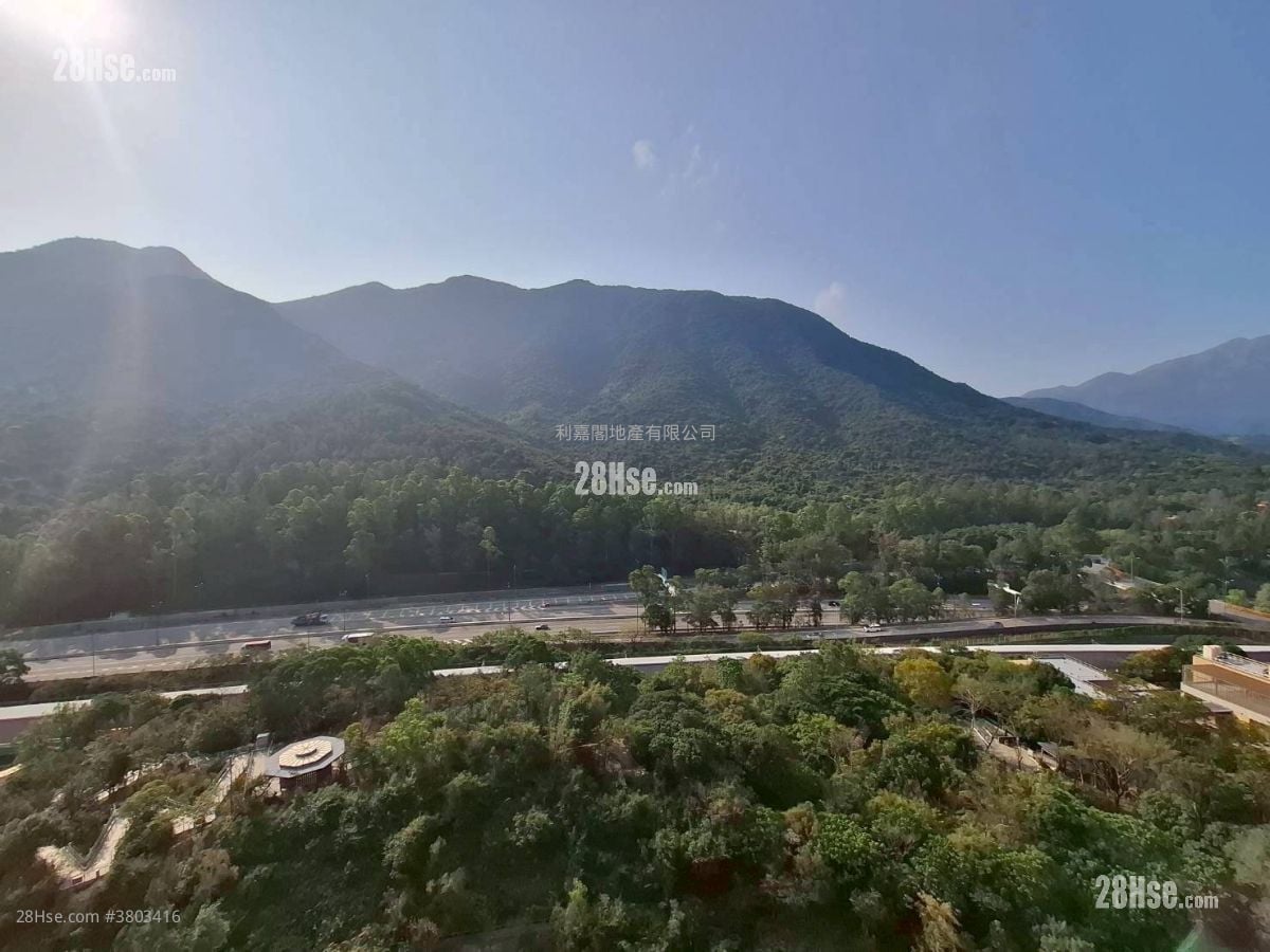 映湾园 售盘 2 房 552 平方尺