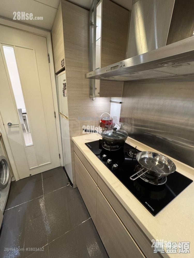 峻滢 租盘 1 房 499 平方尺