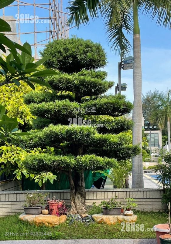 加多利园 售盘 2,011 平方尺