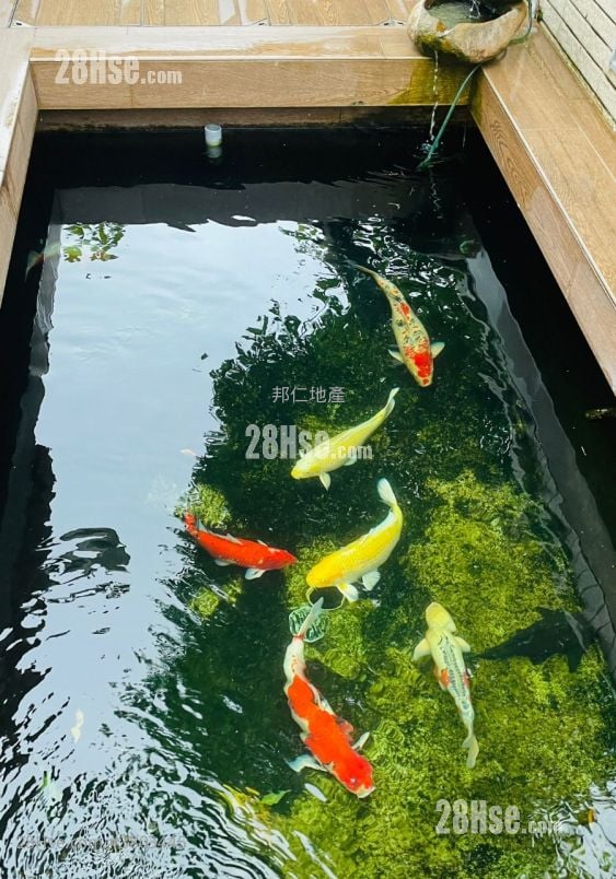 加多利园 售盘 2,011 平方尺