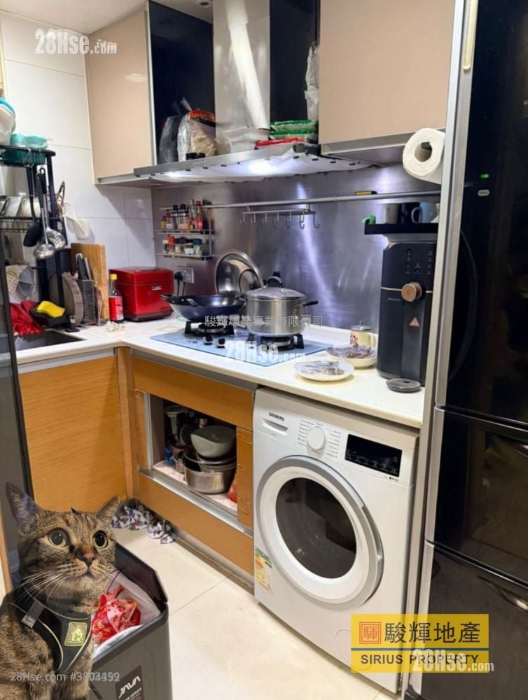 丰盛居 售盘 2 房 , 1 浴室 466 平方尺