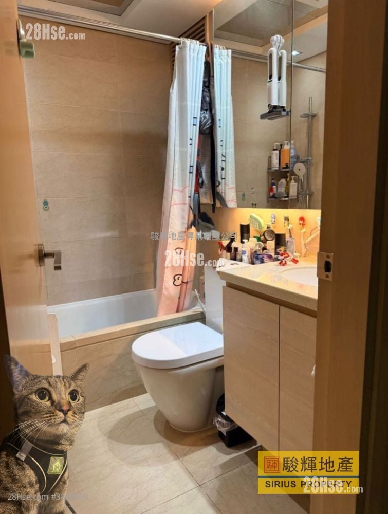 丰盛居 售盘 2 房 , 1 浴室 466 平方尺