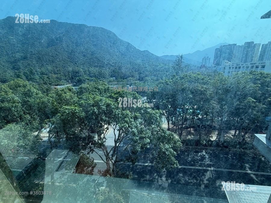 蓝天海岸 售盘 1 房 388 平方尺