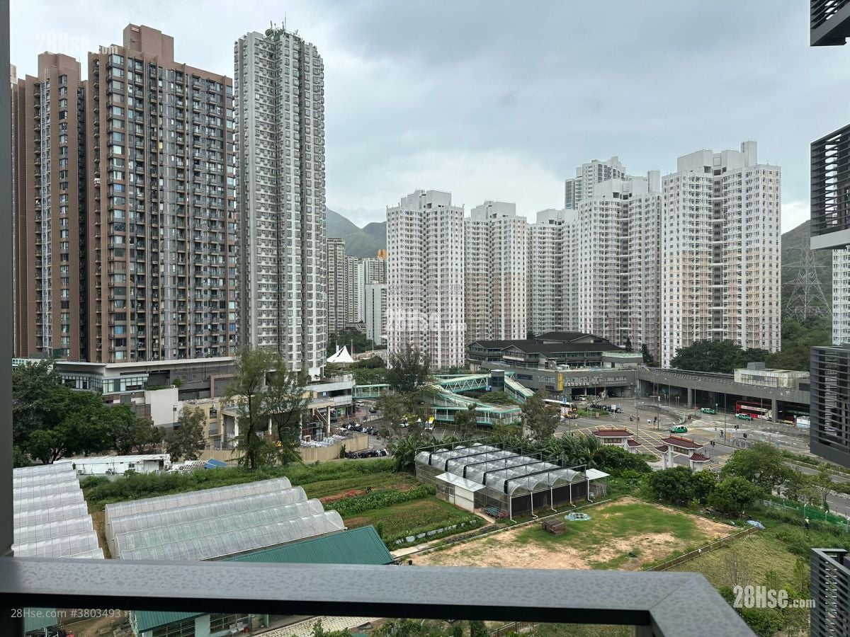 Novo Land 售盘 1 浴室 434 平方尺