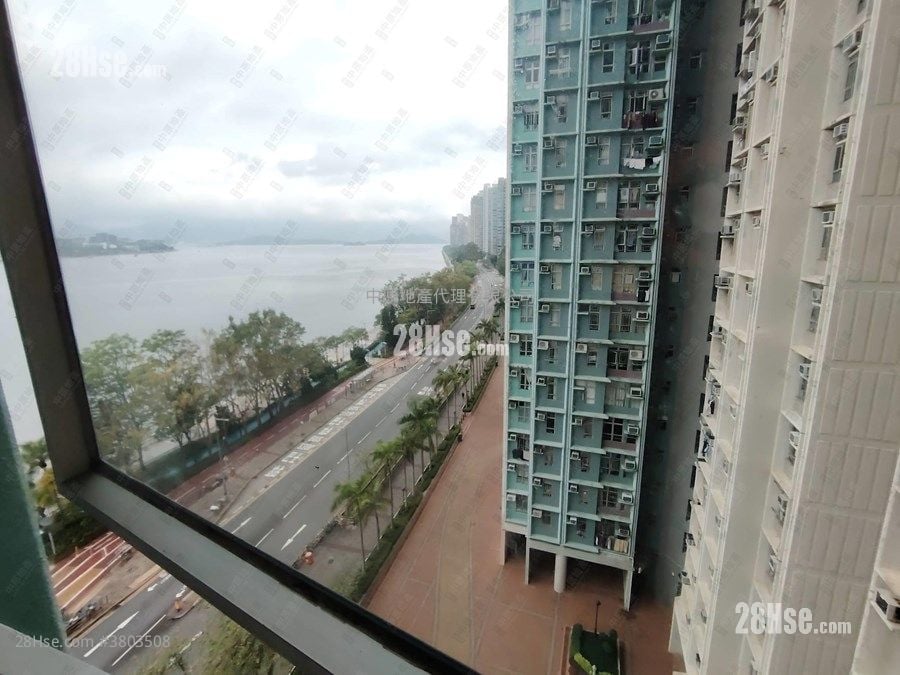 锦泰苑 售盘 3 房 , 1 浴室 650 平方尺