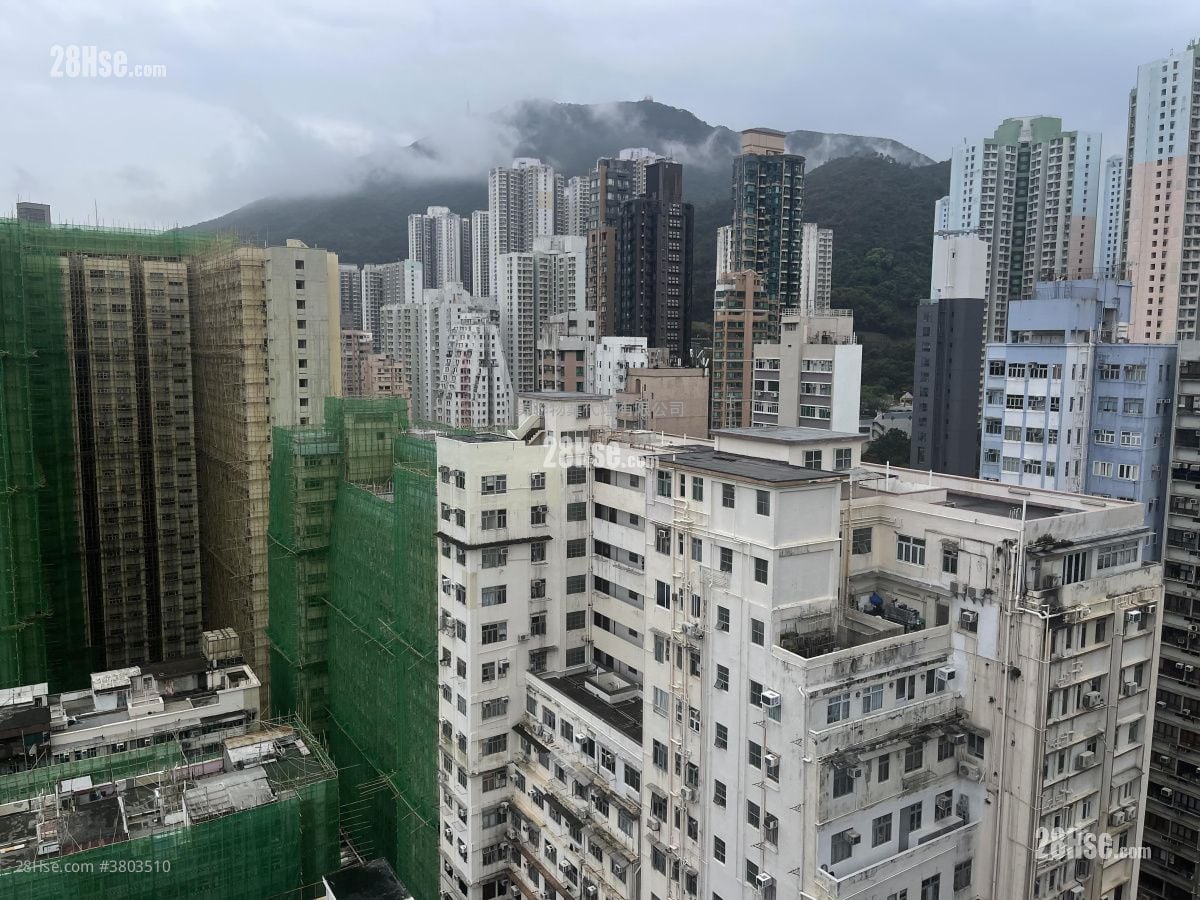 太古城 售盘 3 房 489 平方尺