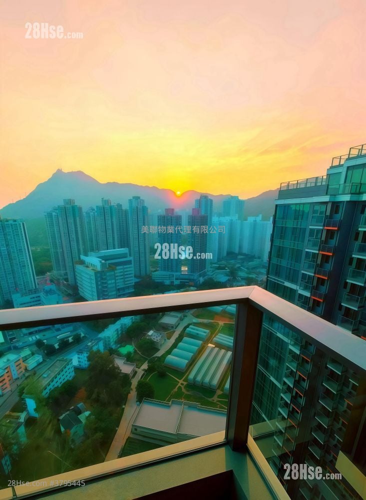 Novo Land Sell 2 Bedrooms , 1 Bathroom 456 ft²