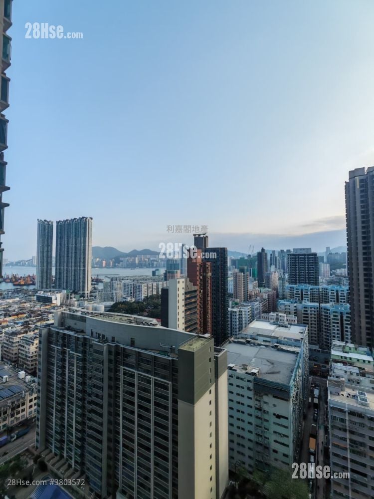 傲云峰 租盘 539 平方尺