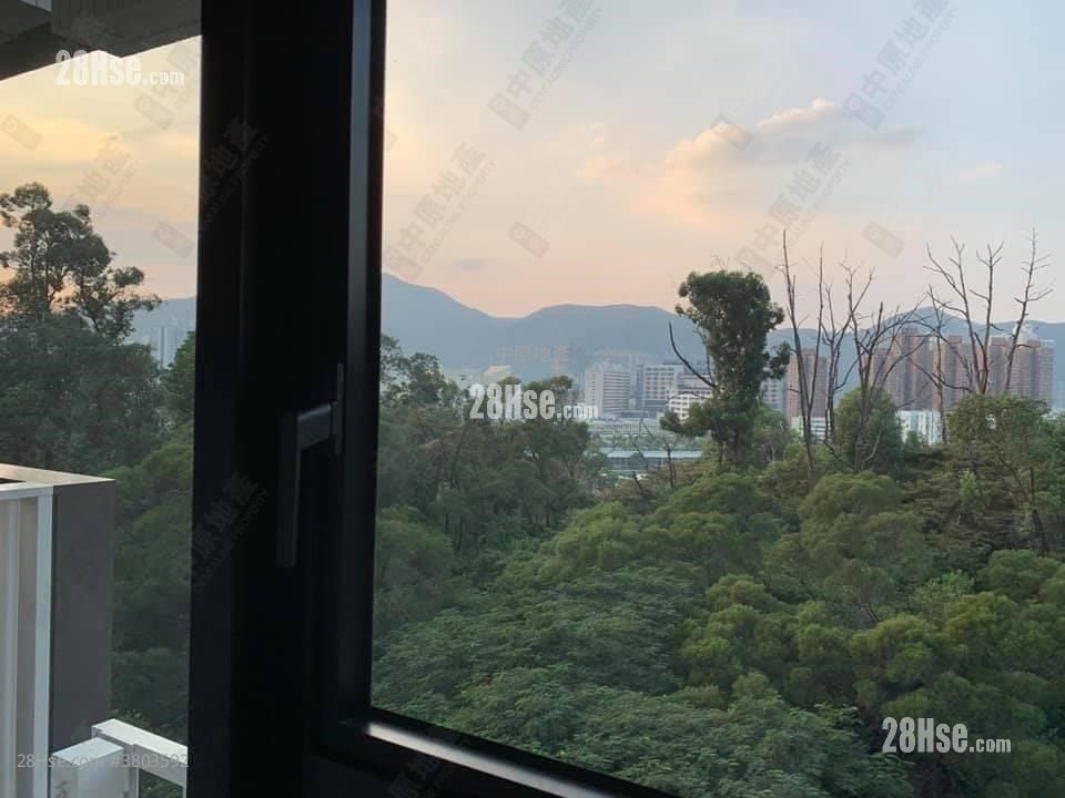 御半山 售盘 2 房 , 1 浴室 455 平方尺