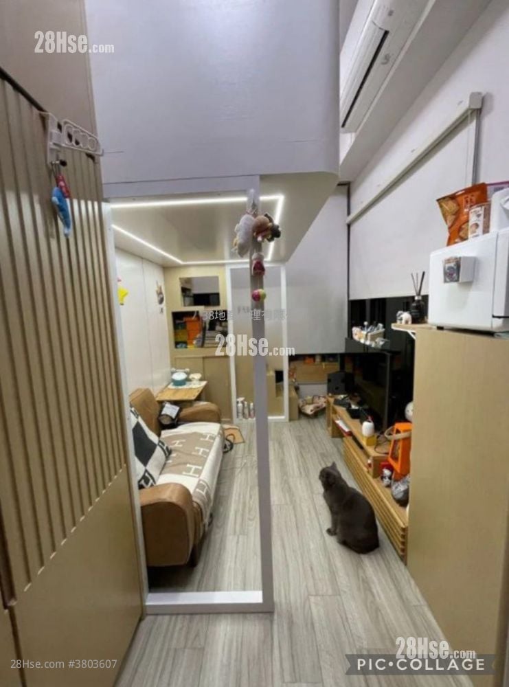 家壹 租盘 开放式间隔 , 1 浴室 238 平方尺