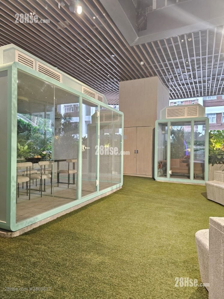 The Paddington Rental Studio , 1 Bathroom 185 ft²