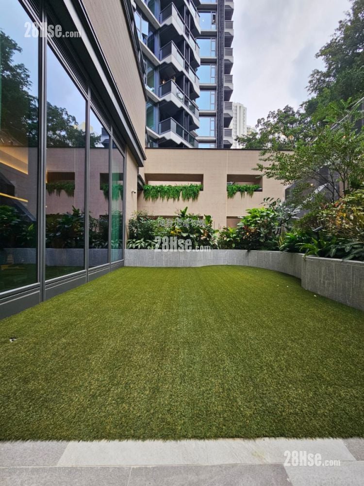 The Paddington Rental Studio , 1 Bathroom 185 ft²