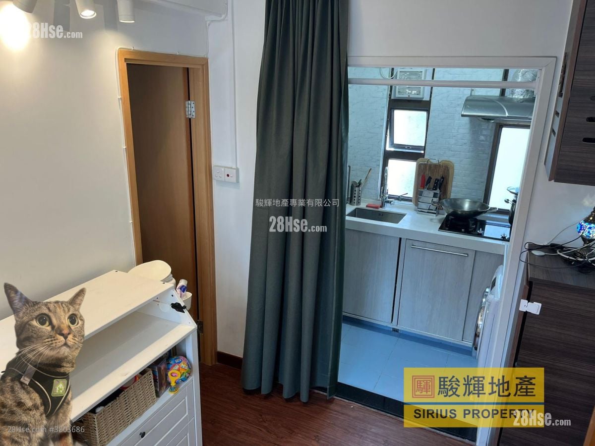 启运大厦 租盘 1 房 , 1 浴室 220 平方尺