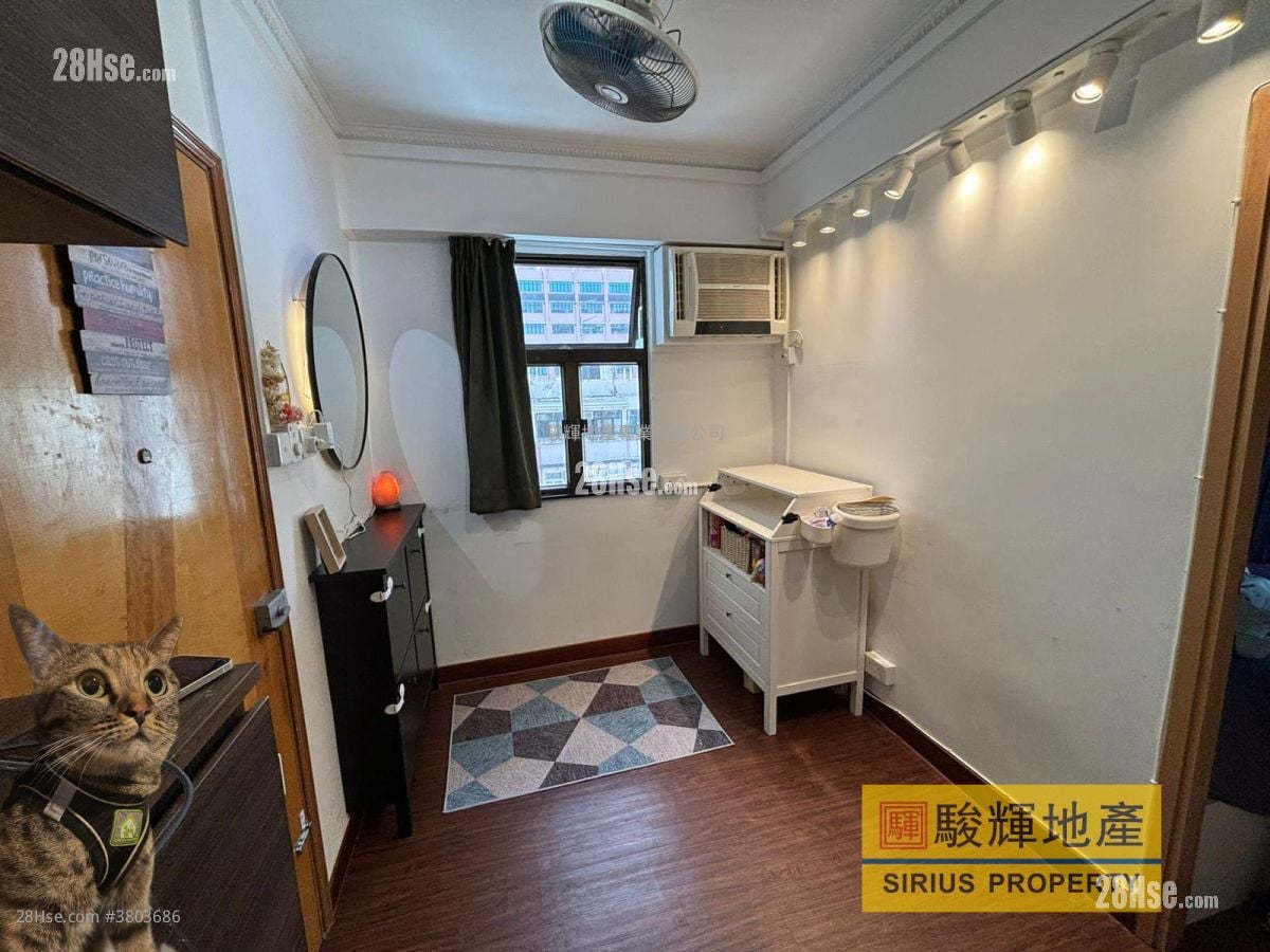 启运大厦 租盘 1 房 , 1 浴室 220 平方尺