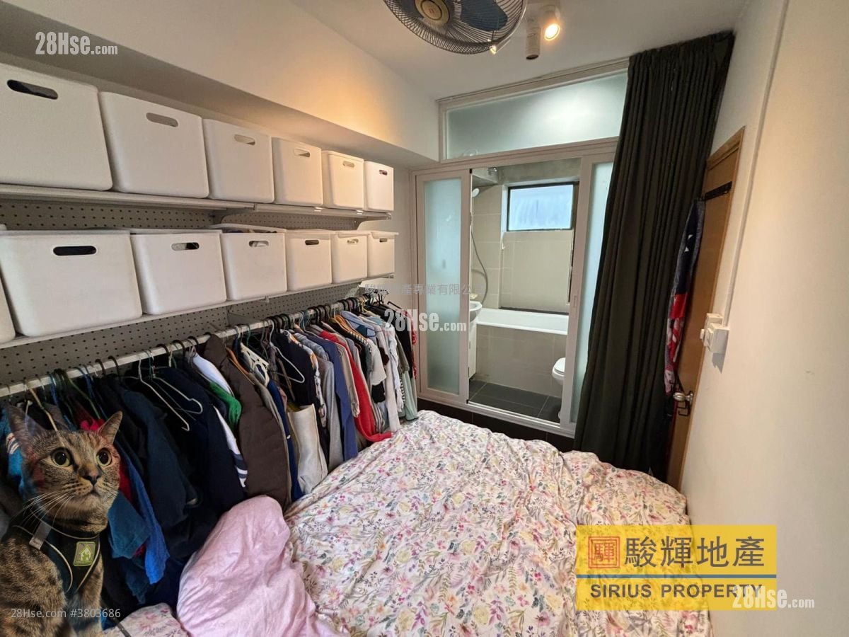 启运大厦 租盘 1 房 , 1 浴室 220 平方尺