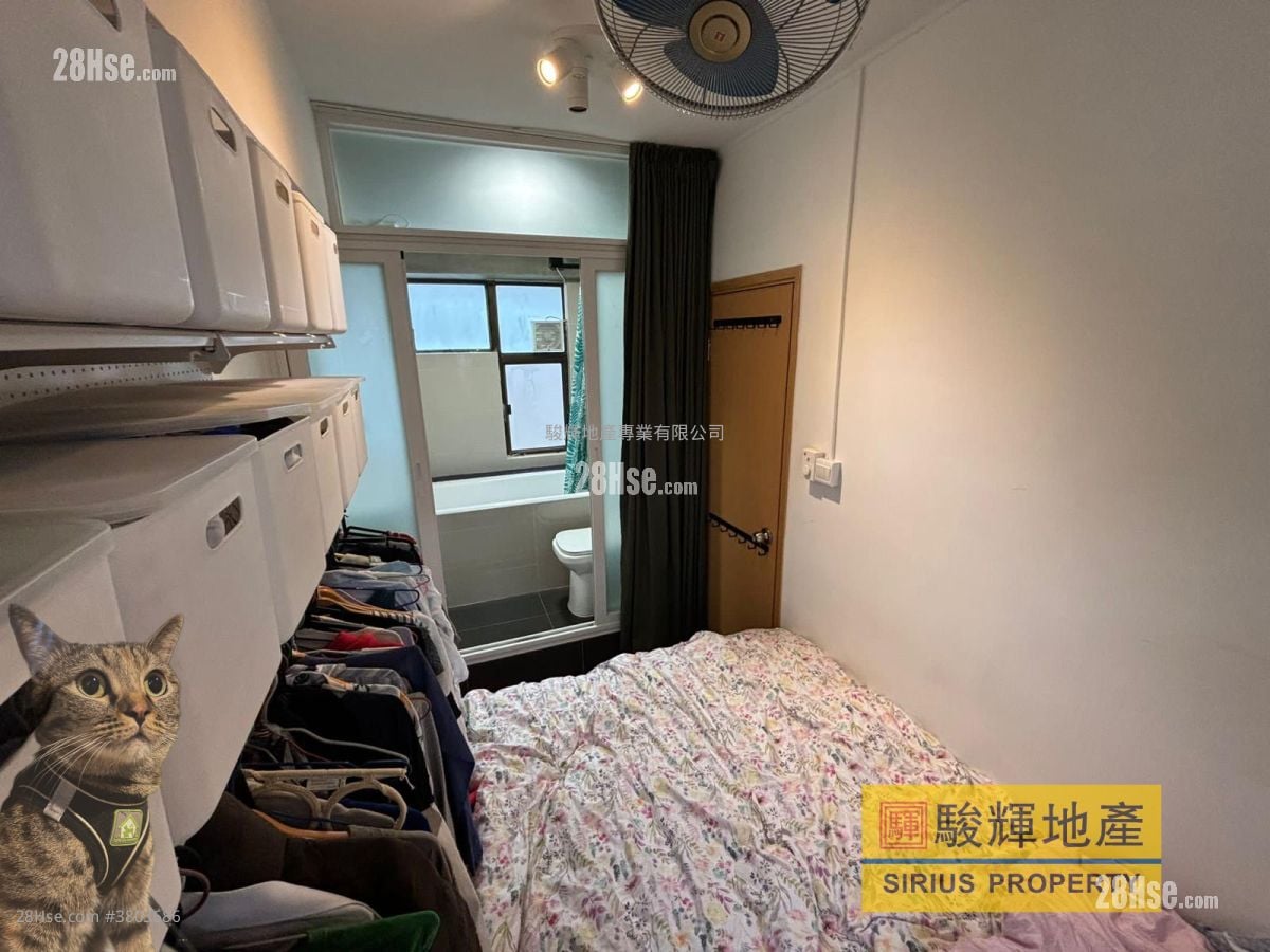 启运大厦 租盘 1 房 , 1 浴室 220 平方尺