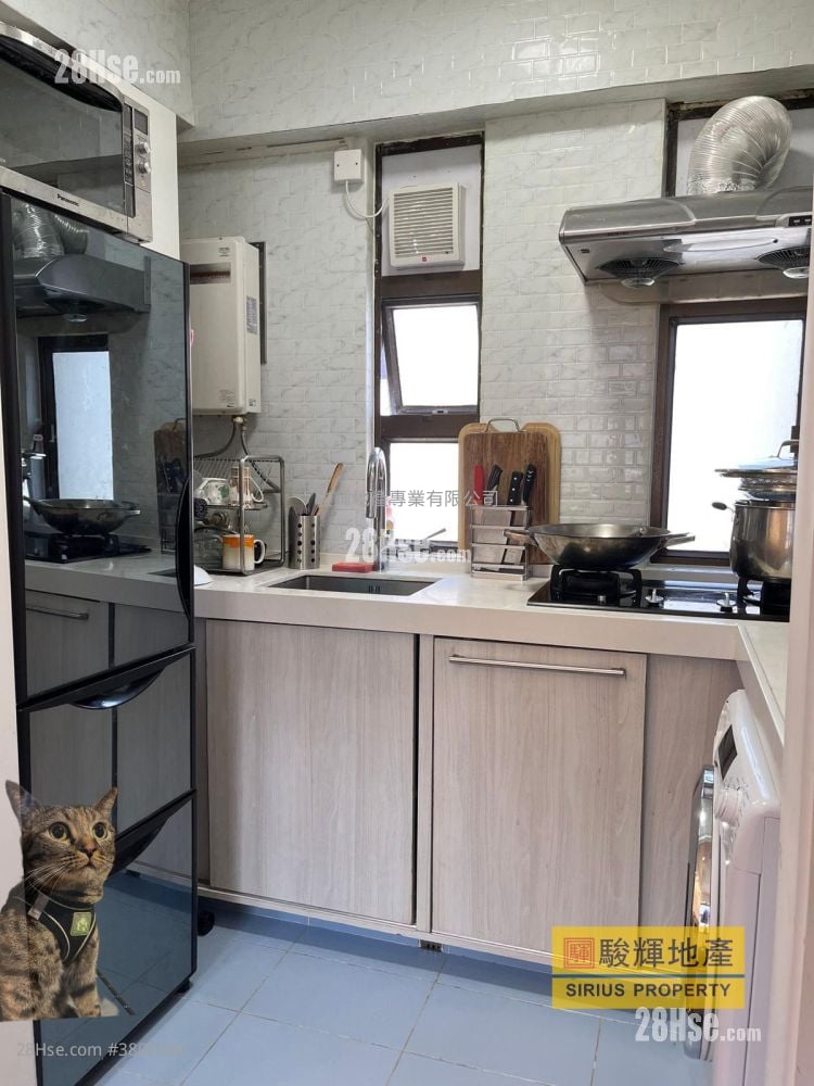 启运大厦 租盘 1 房 , 1 浴室 220 平方尺