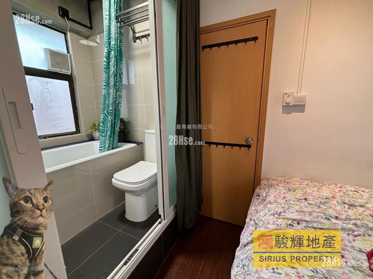 启运大厦 租盘 1 房 , 1 浴室 220 平方尺