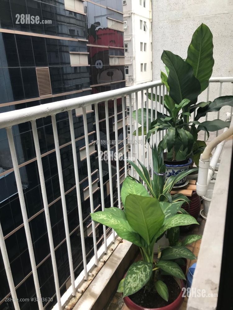 Wo Hing Commercial Building Sell 1 Toilet