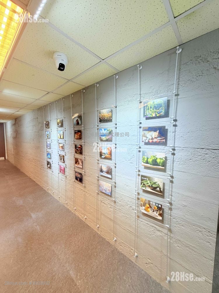 822 Lai Chi Kok Road Rental Studio 195 ft²