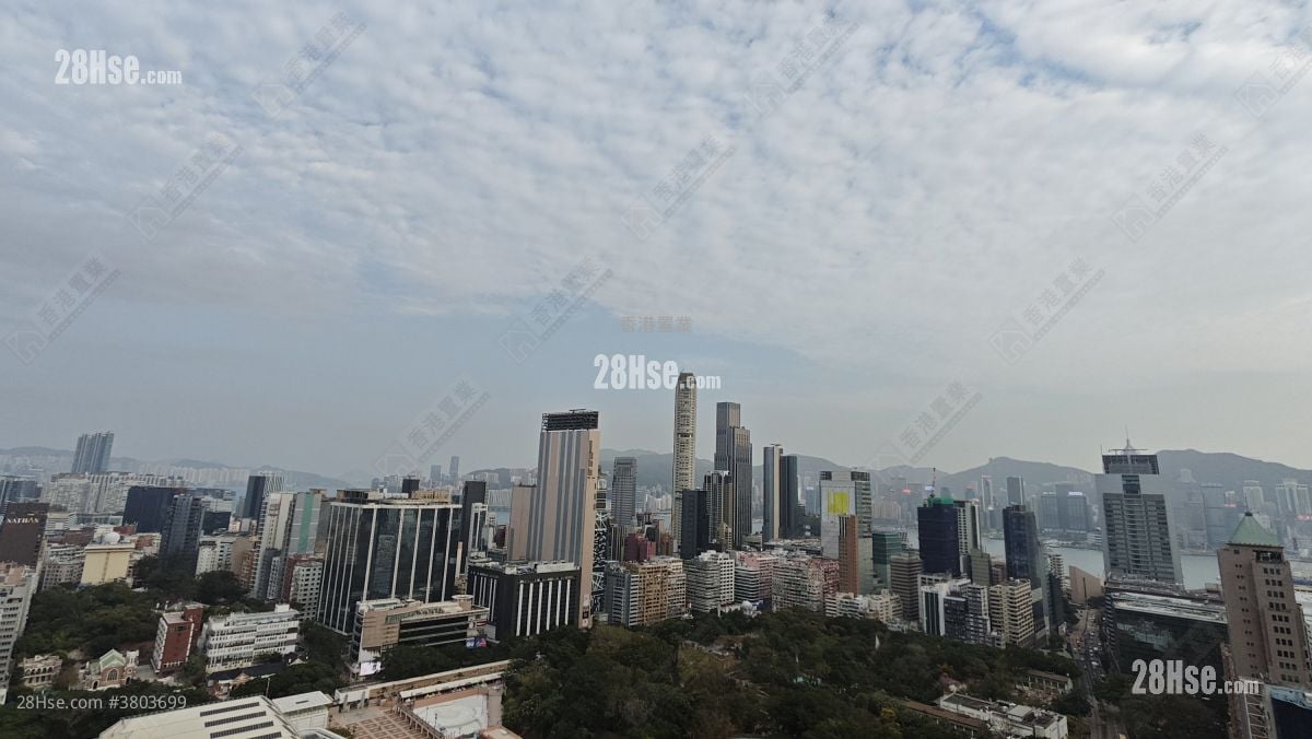 港景峰 售盘 3 房 785 平方尺